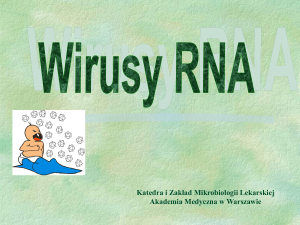 Wirusy RNA