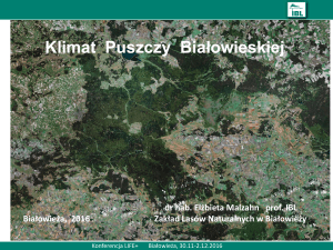 Klimat Puszczy Białowieskiej