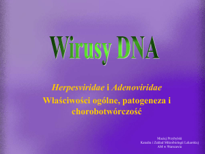 Wirusy DNA