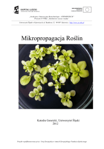 Mikropropagacja Roślin - ATRINBIOTECH