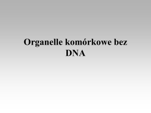 Organelle komórkowe bez DNA