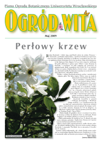 Perłowy krzew - Ogród Botaniczny Uniwersytetu Wrocławskiego