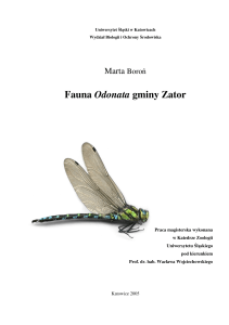 Fauna Odonata gminy Zator - Towarzystwo na rzecz Ziemi