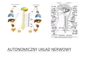 Autonomiczny układ nerwowy