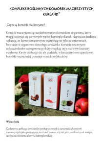 kom&oacute;rki macierzyste