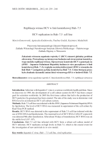 Replikacja wirusa HCV w linii komórkowej Huh–7.5 HCV replication