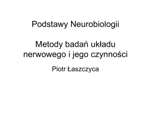 Podstawy Neurobiologii Metody badań układu nerwowego i jego