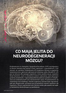 co mają jelita do neurodegeneracji mózgu?