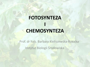 Fotosynteza i chemosynteza