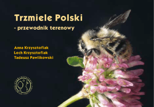 Trzmiele Polski – przewodnik terenowy