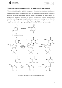 Właściwości chemiczne nukleozydów pirymidynowych i purynowych