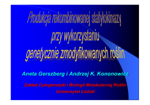 Aneta Gerszberg i Andrzej K. Kononowicz
