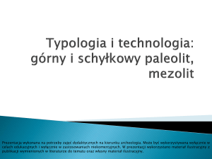 Typologia i technologia górnego paleolitu