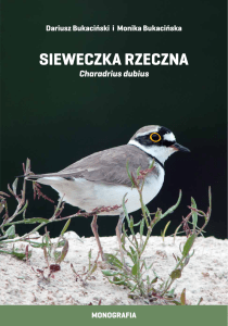 sieweczka rzeczna - Wislawarszawska.pl