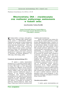 Mitochondrialny DNA – charakterystyka oraz