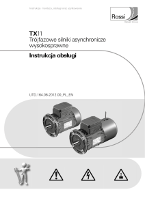 TX11 Trójfazowe silniki asynchronicze wysokosprawne Instrukcja