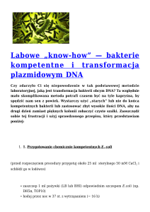 Labowe „know-how” — bakterie kompetentne i transformacja
