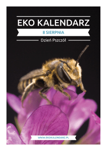 Pakiet edukacyjny - Dzień Pszczół