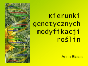 Kierunki genetycznych modyfikacji roślin