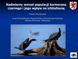 Liczebność i rozmieszczenie kormorana czarnego (Phalacrocprax