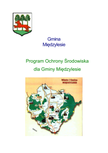 Gmina - Urząd Miasta i Gminy w Międzylesiu