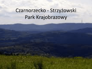 Czarnorzecko-Strzy*owski Park Krajobrazowy