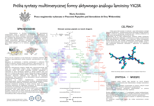 Próba syntezy multimerycznej formy aktywnego analogu lamininy