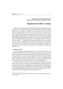 Regulatorowe RNA w mózgu