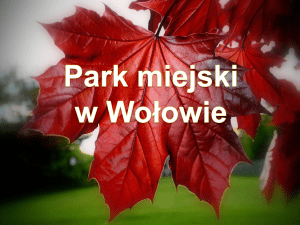 "Park Miejski"