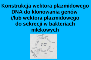 Konstrukcja wektora plazmidowego DNA do klonowania genów i/lub