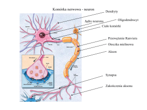 Neurobiologia 2