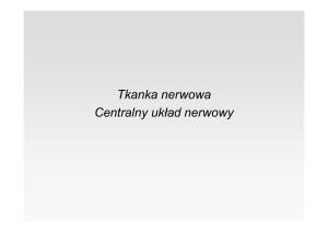 Tkanka nerwowa Centralny układ nerwowy