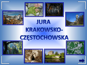 JURA KRAKOWSKO- CZĘSTOCHOWSKA OJCOWSKI PARK