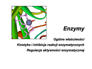 kompleks enzym