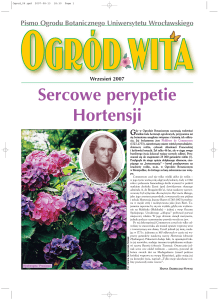Sercowe perypetie Hortensji - Ogród Botaniczny Uniwersytetu
