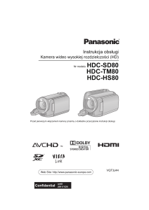 HDC-TM80 HDC-HS80
