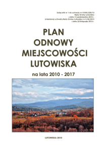 plan odnowy miejscowości lutowiska