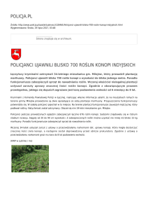 policja.pl policjanci ujawnili blisko 700 roślin konopi indyjskich