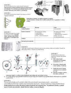 ZADANIE 1 Rycina przedstawia różne modele tkanek roślinnych