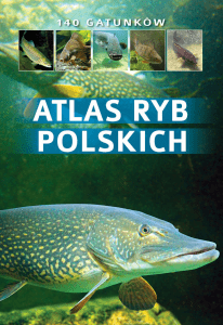 Bogdan Wziatek 140 gatunkóW Polskich atlas ryB