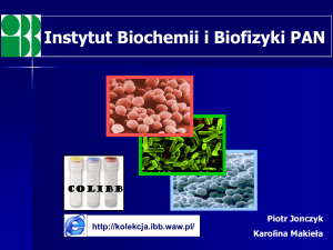 Instytut Biochemii i Biofizyki PAN