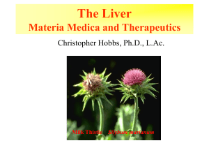 The Liver Materia Medica and Therapeutics