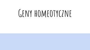 Geny homeotyczne/ homeobox genes