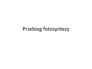 Przebieg fotosyntezy