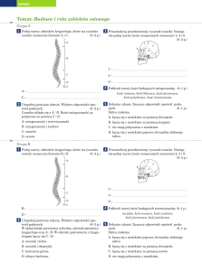 03. Budowa i rola szkieletu osiowego 